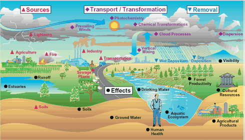 Types of Environmental Pollution and Its Causes